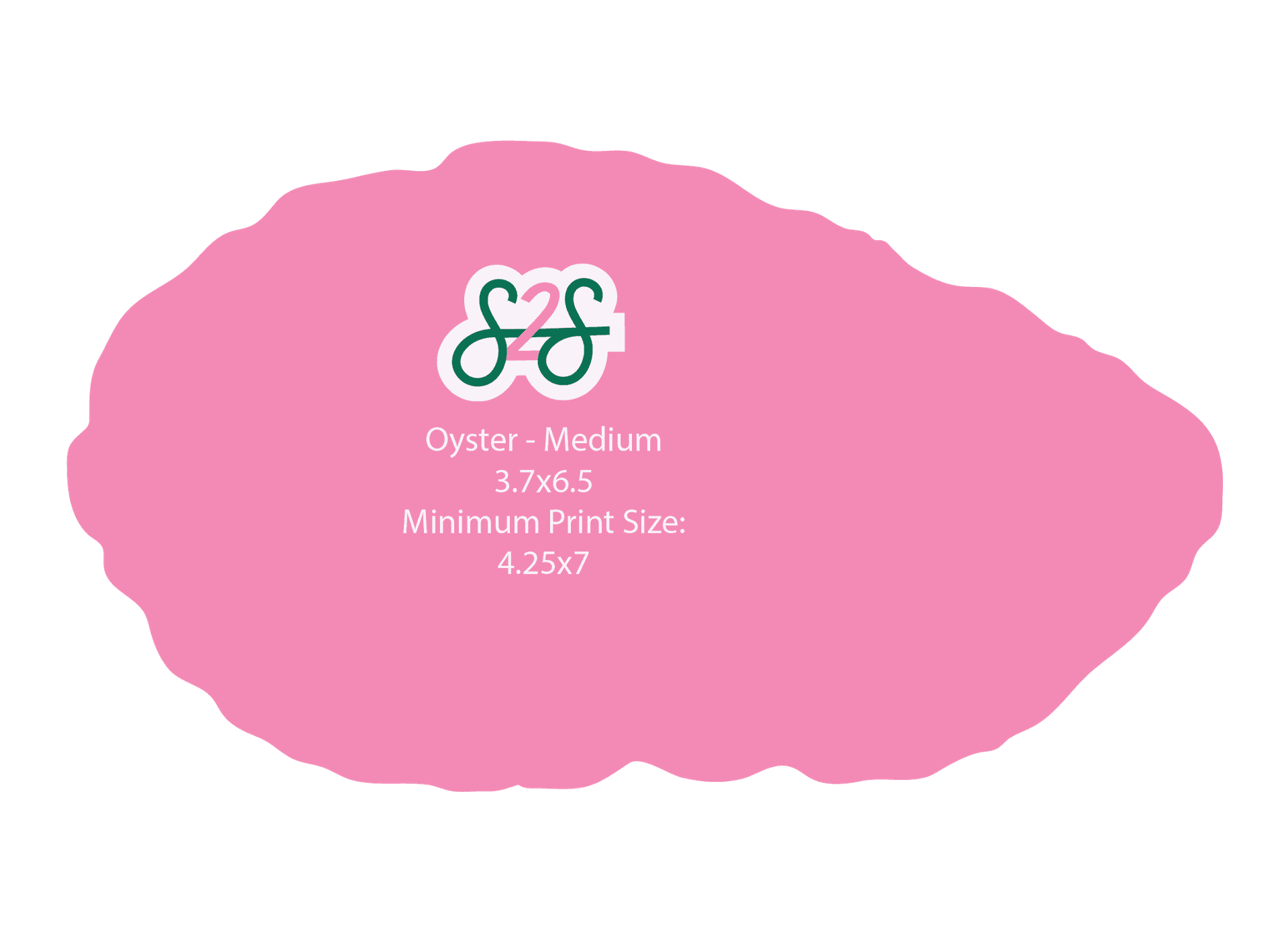 Oyster Shell - Medium
