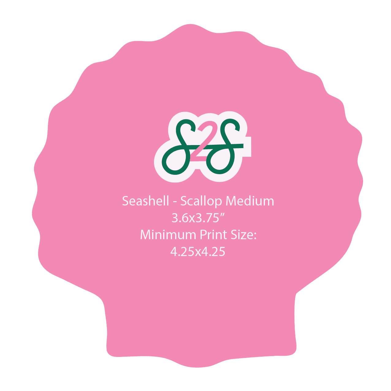 Seashell Scallop - Medium